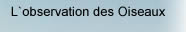 L`observation des oiseaux.