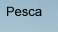 Pesca