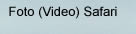 Foto e Video Safari.