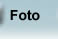 Collezioni di foto