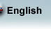 English Version
