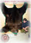 Bear Skin