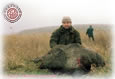 One Boar