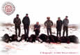 Ten Boars