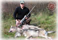 Two Wolves