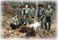 Bear Hunting 1