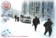 Wolfs Hunting in February, 2003