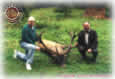 Red Deer - Tismana