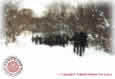 Norvegians - Big Snow