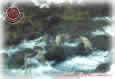 Wolfs on Mountain River
